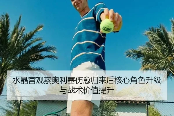 水晶宫观察奥利塞伤愈归来后核心角色升级与战术价值提升